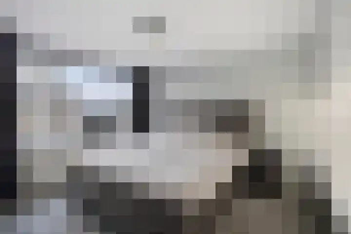 Meeuwenlaan 24 Noordwijkerhout thumbnail 4