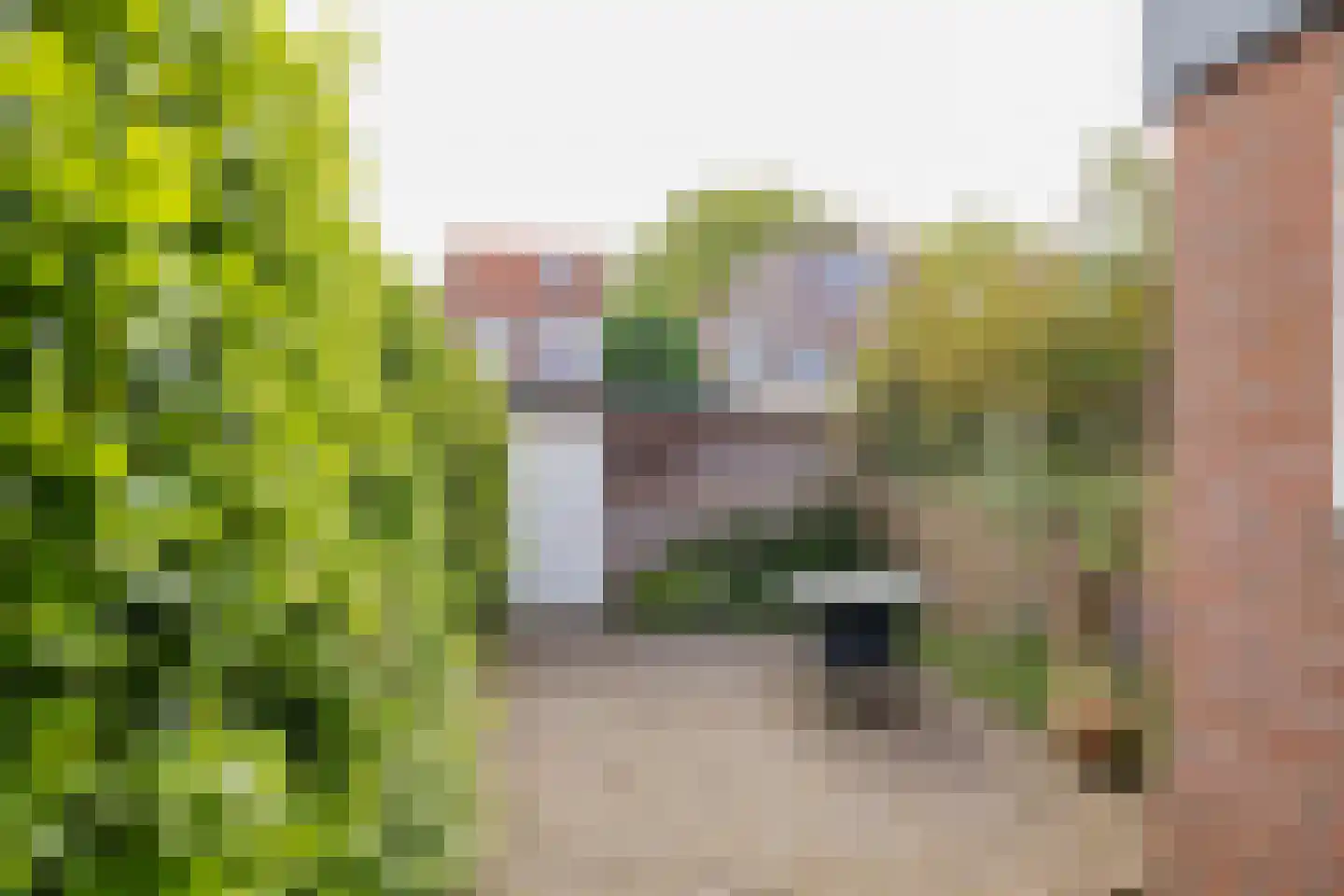 Meeuwenlaan 25 IJmuiden thumbnail 13