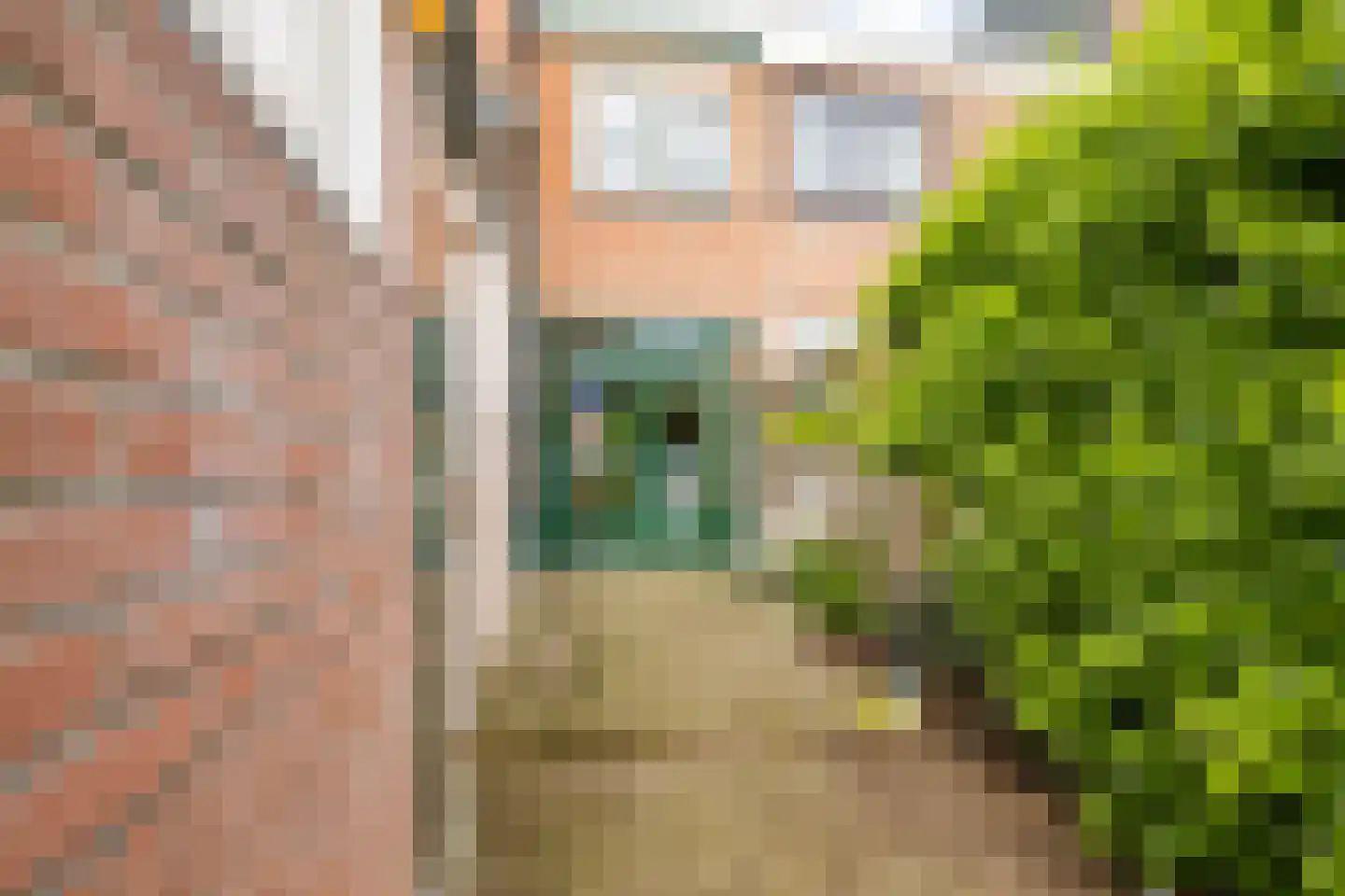 Meeuwenlaan 25 IJmuiden thumbnail 15