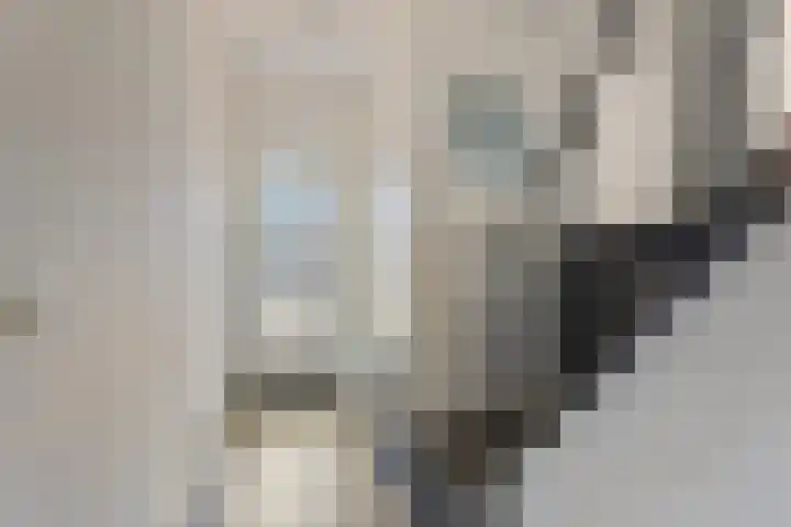 Meeuwenlaan 27 Geleen thumbnail 10
