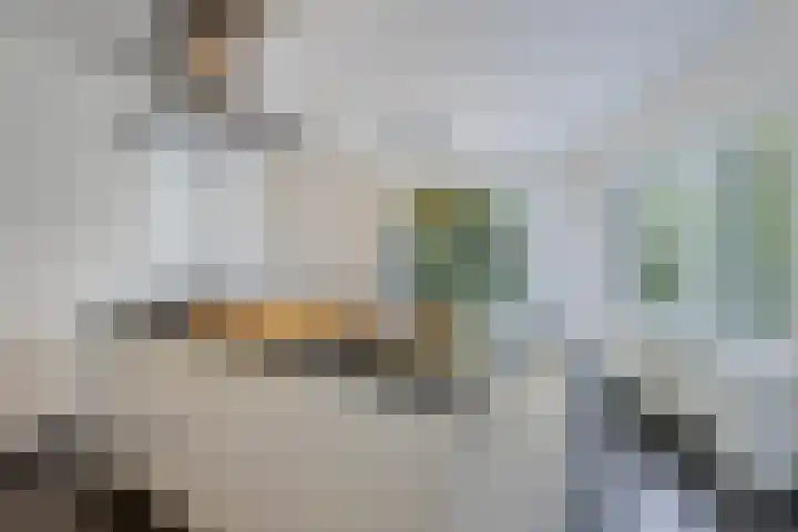 Meeuwenlaan 27 Geleen thumbnail 11