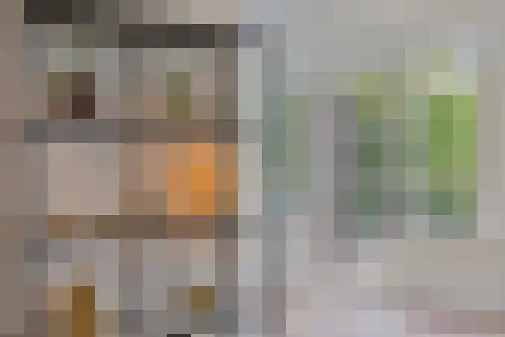 Meeuwenlaan 27 Geleen thumbnail 17