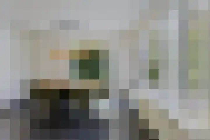 Meeuwenlaan 27 Geleen thumbnail 19