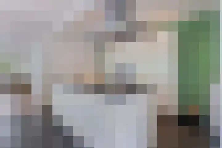 Meeuwenlaan 27 Geleen thumbnail 20