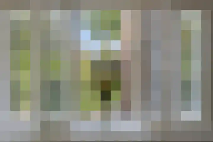 Meeuwenlaan 27 Geleen thumbnail 21