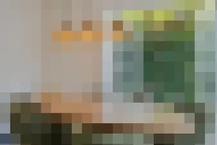 Meeuwenlaan 27 Geleen thumbnail 22