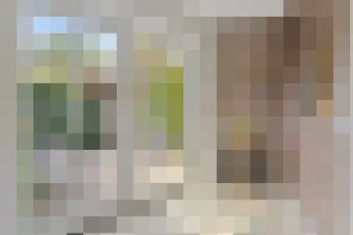 Meeuwenlaan 27 Geleen thumbnail 23