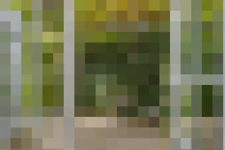 Meeuwenlaan 27 Geleen thumbnail 25