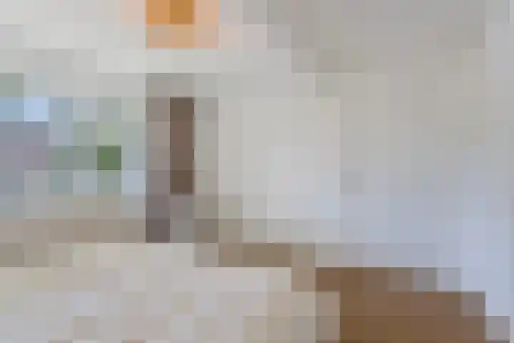 Meeuwenlaan 27 Geleen thumbnail 30