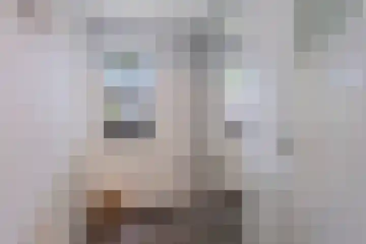Meeuwenlaan 27 Geleen thumbnail 31