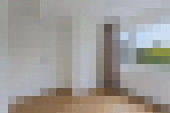 Meeuwenlaan 27 Geleen thumbnail 33