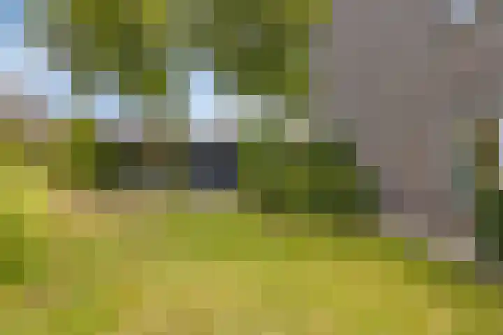 Meeuwenlaan 27 Geleen thumbnail 38