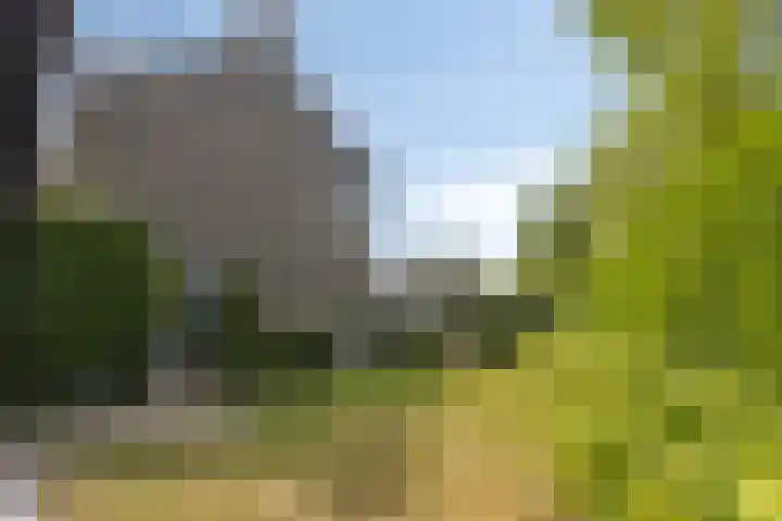 Meeuwenlaan 27 Geleen thumbnail 39