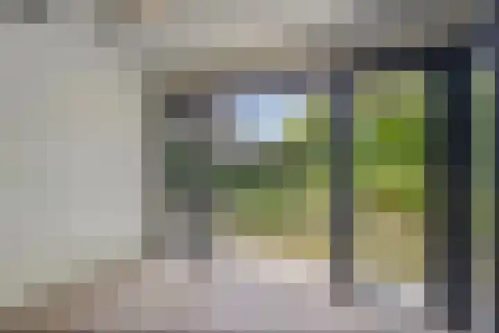 Meeuwenlaan 27 Geleen thumbnail 40