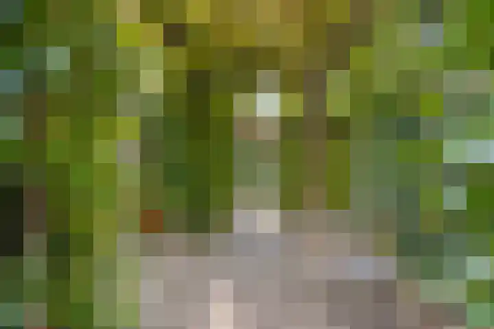 Meeuwenlaan 27 Geleen thumbnail 41