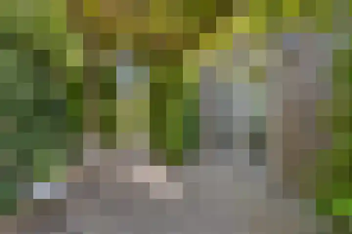 Meeuwenlaan 27 Geleen thumbnail 42