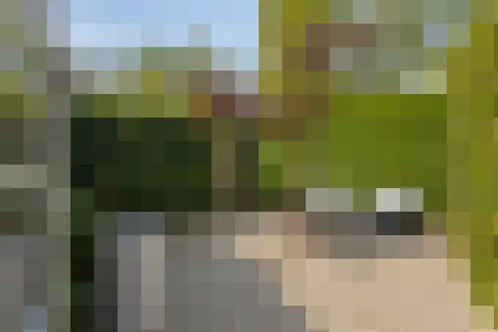 Meeuwenlaan 27 Geleen thumbnail 43
