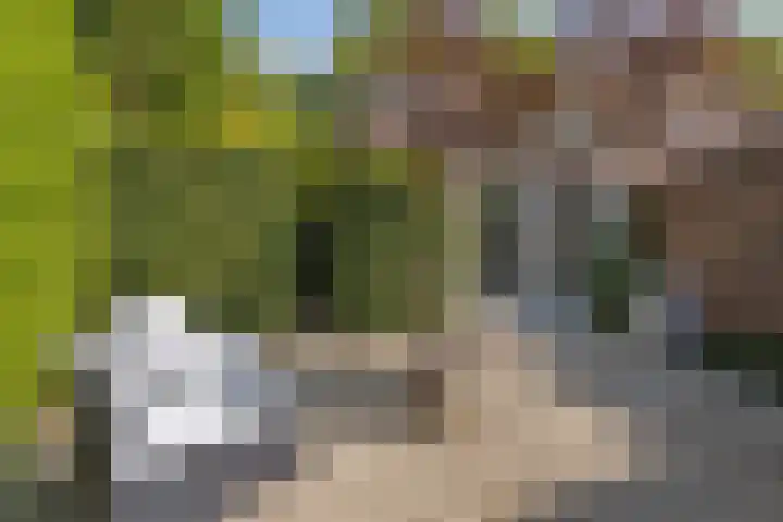 Meeuwenlaan 27 Geleen thumbnail 44