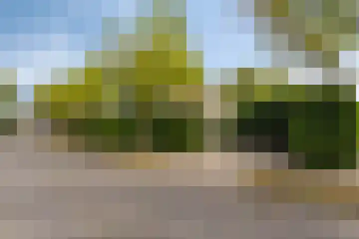 Meeuwenlaan 27 Geleen thumbnail 45