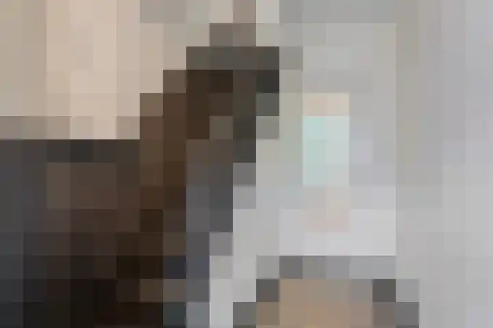 Meeuwenlaan 27 Geleen thumbnail 8