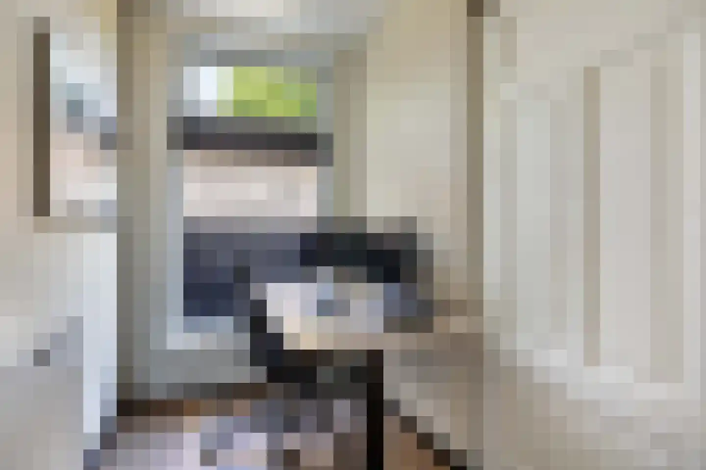 Meeuwenlaan 27 Sneek thumbnail 28
