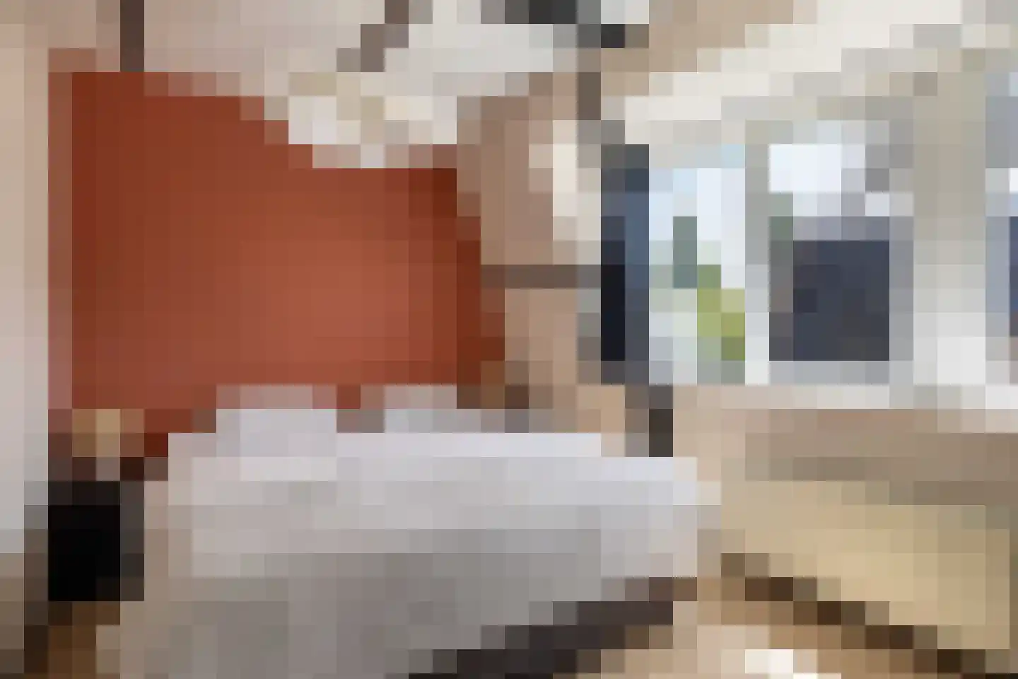 Meeuwenlaan 27 Sneek thumbnail 35