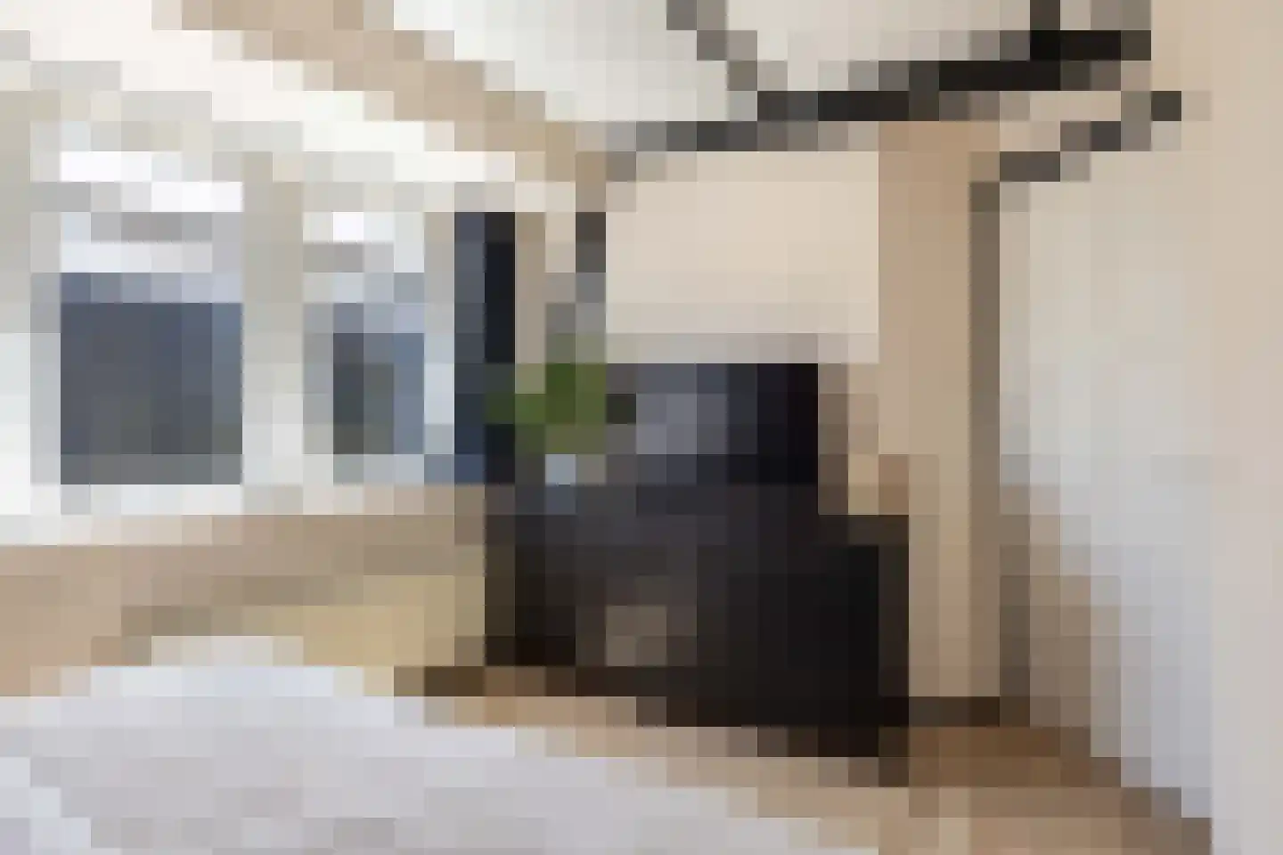 Meeuwenlaan 27 Sneek thumbnail 36