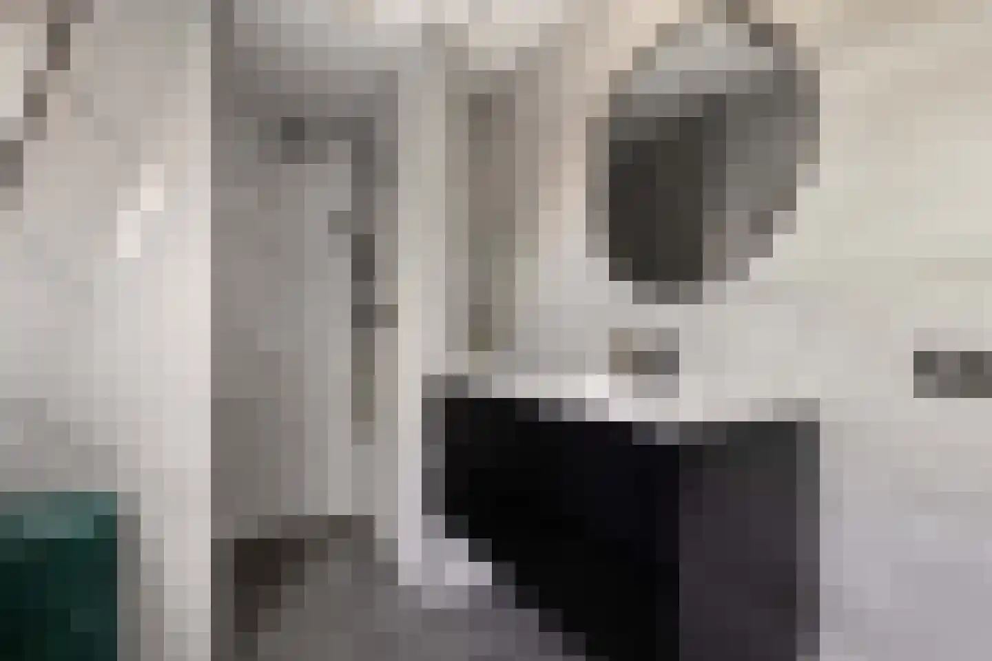 Meeuwenlaan 27 Sneek thumbnail 38