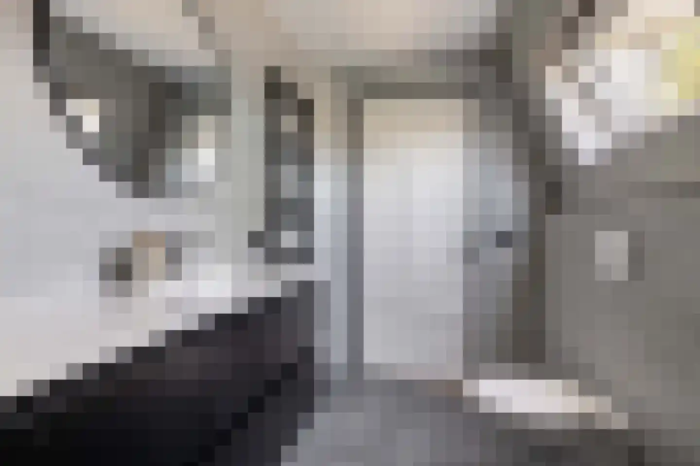Meeuwenlaan 27 Sneek thumbnail 40