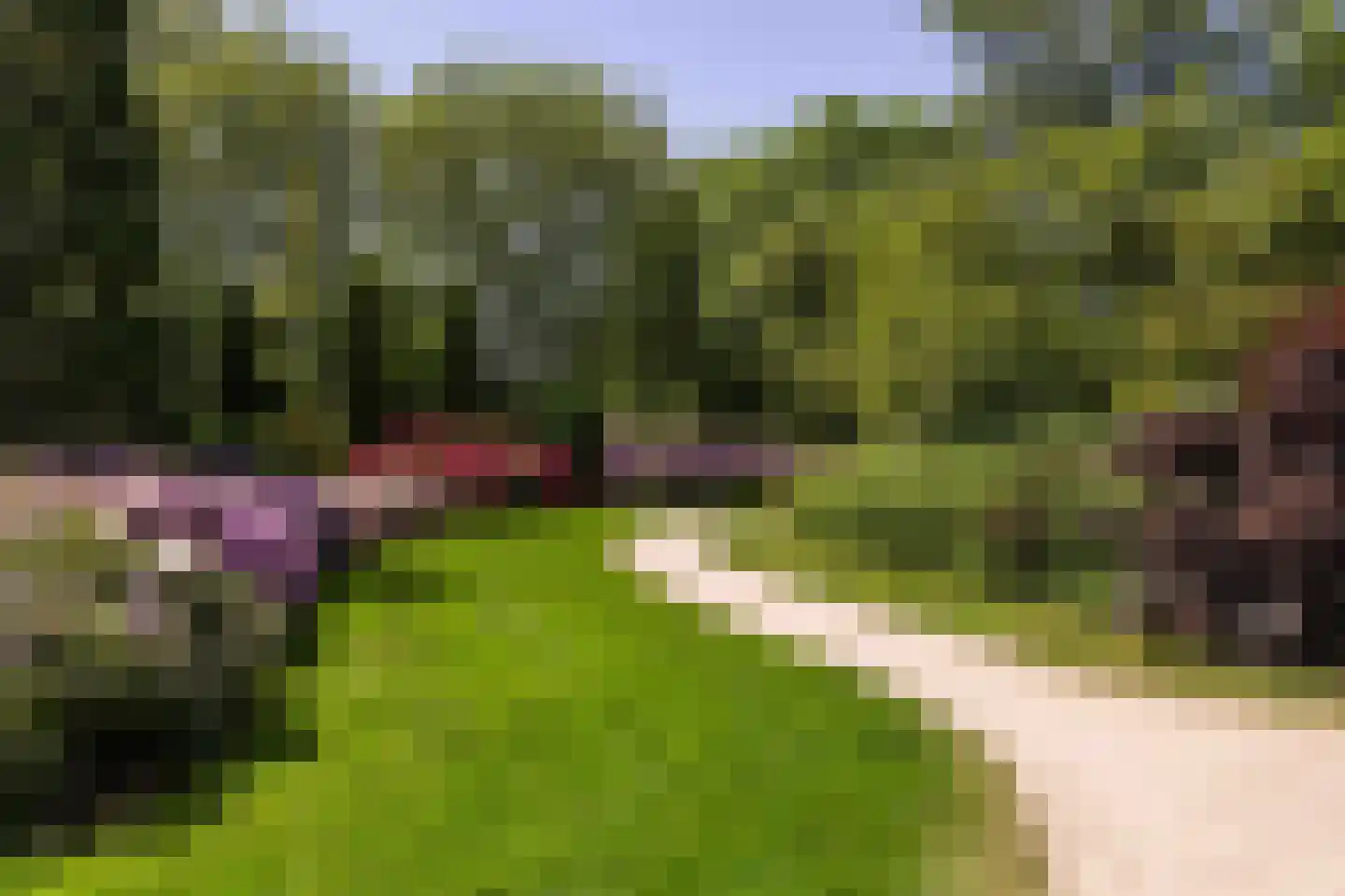 Meeuwenlaan 27 Sneek thumbnail 44