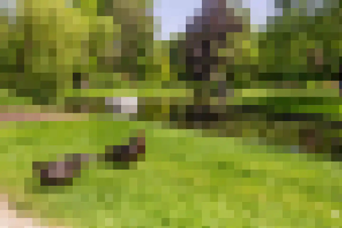 Meeuwenlaan 27 Sneek thumbnail 45
