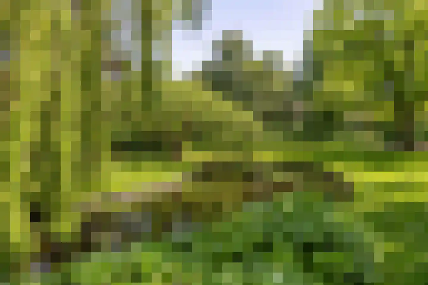 Meeuwenlaan 27 Sneek thumbnail 46