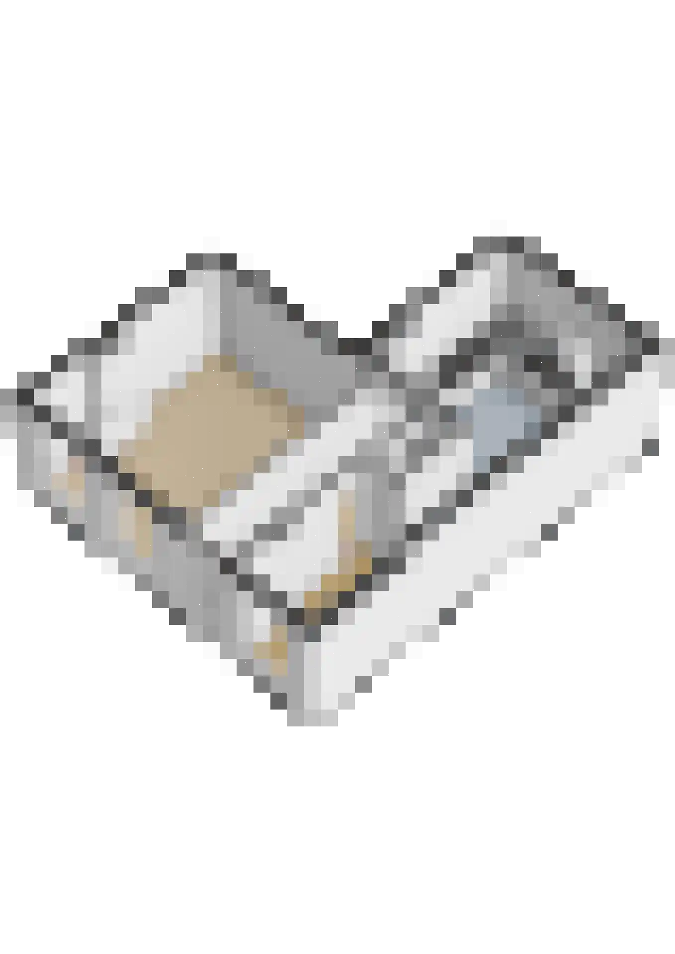 Meeuwenlaan 27 Sneek thumbnail 48