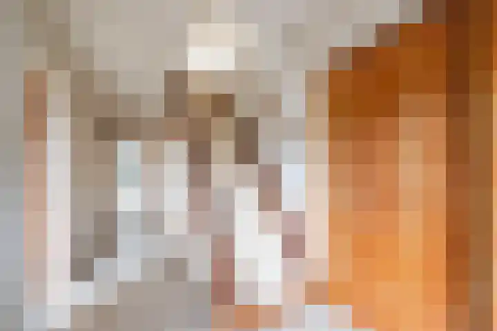 Meeuwenlaan 29 Geleen thumbnail 11