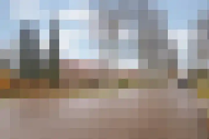 Meeuwenlaan 29 Geleen thumbnail 19