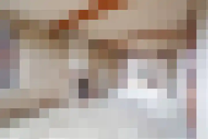 Meeuwenlaan 29 Geleen thumbnail 7