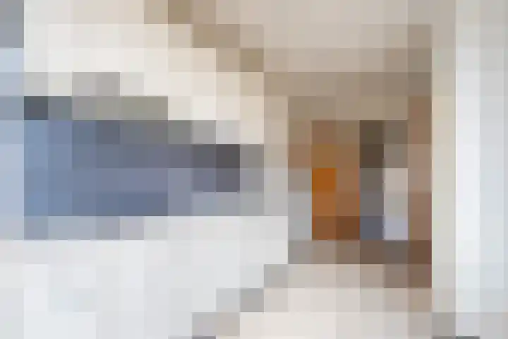 Meeuwenlaan 29 Geleen thumbnail 9