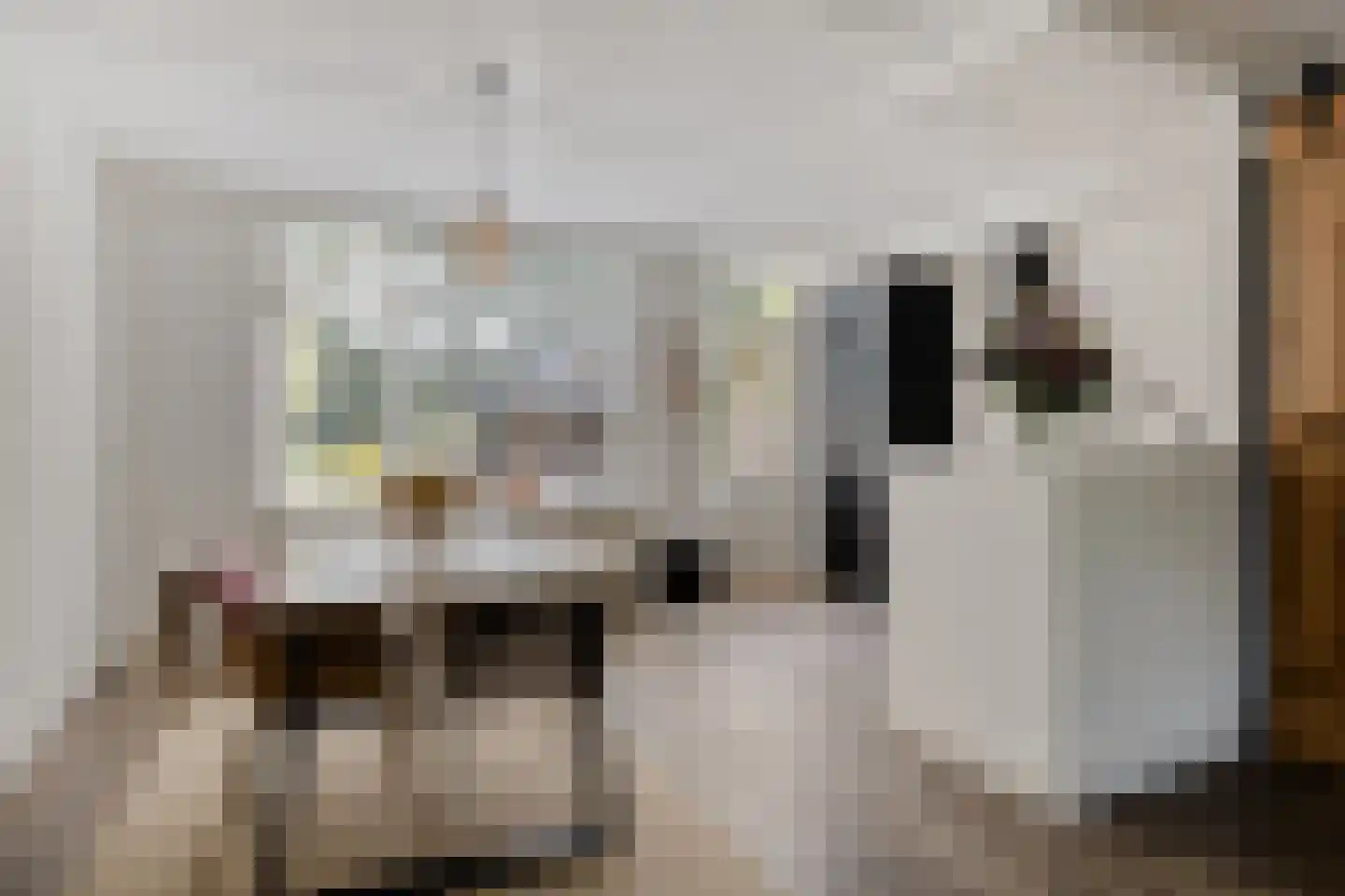 Meeuwenlaan 3 Nieuwerkerk thumbnail 13