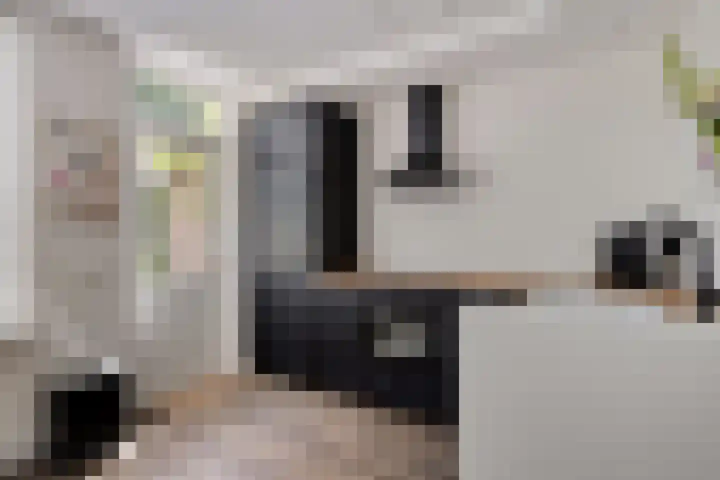 Meeuwenlaan 3 Nieuwerkerk thumbnail 16