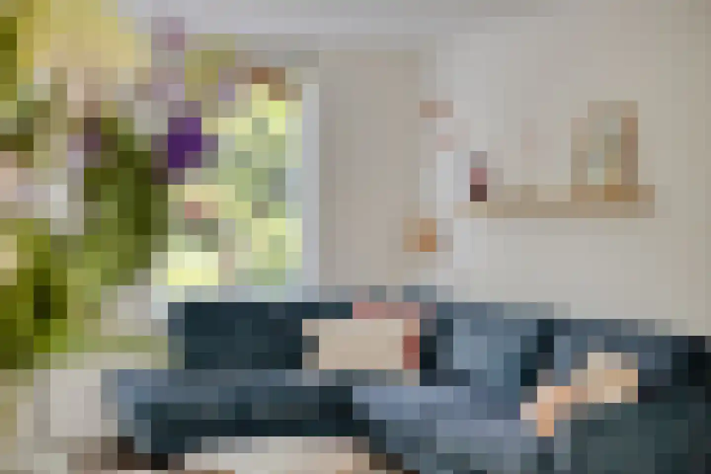 Meeuwenlaan 3 Nieuwerkerk thumbnail 18