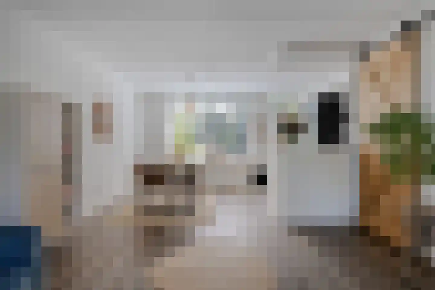 Meeuwenlaan 3 Nieuwerkerk thumbnail 22