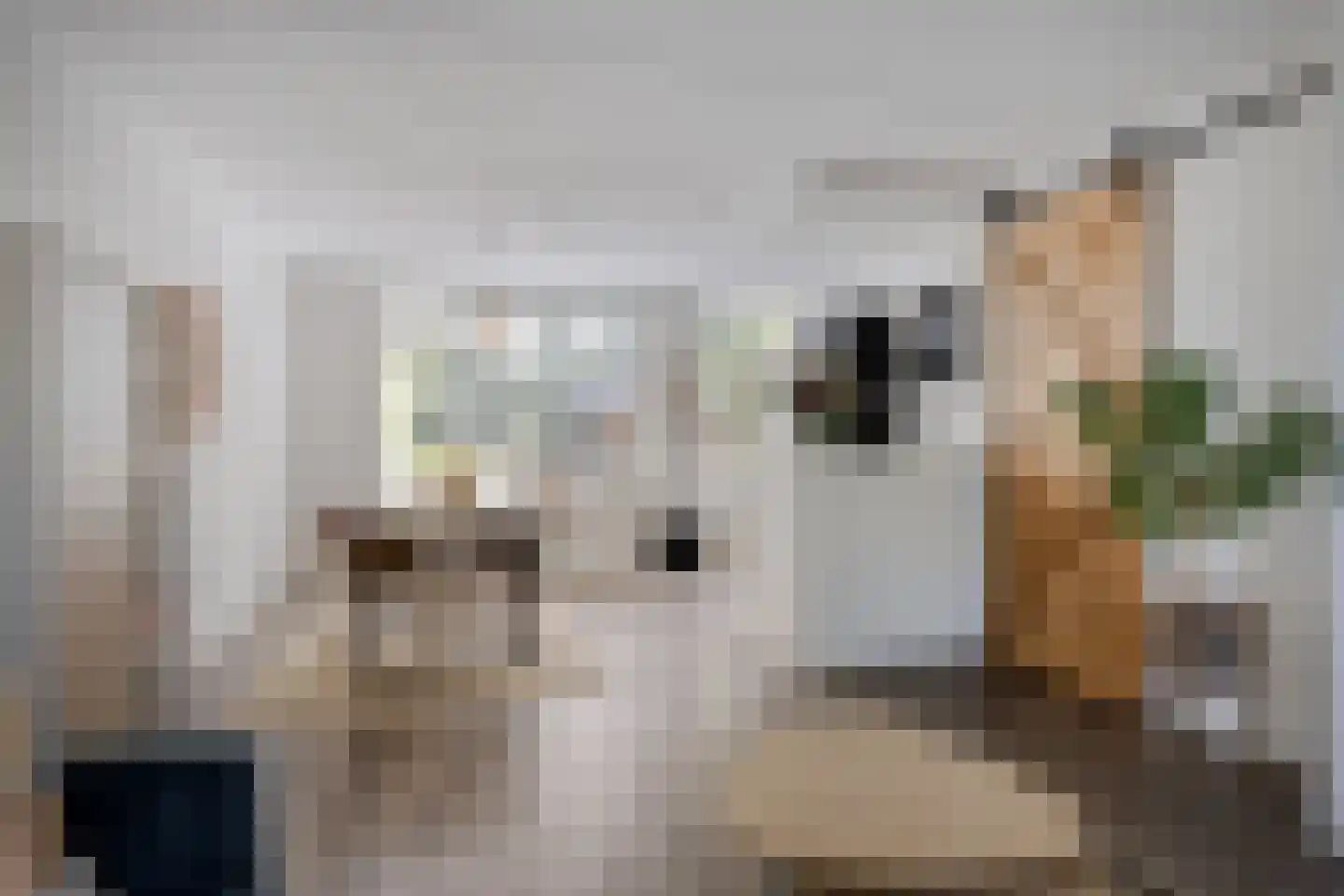 Meeuwenlaan 3 Nieuwerkerk thumbnail 23