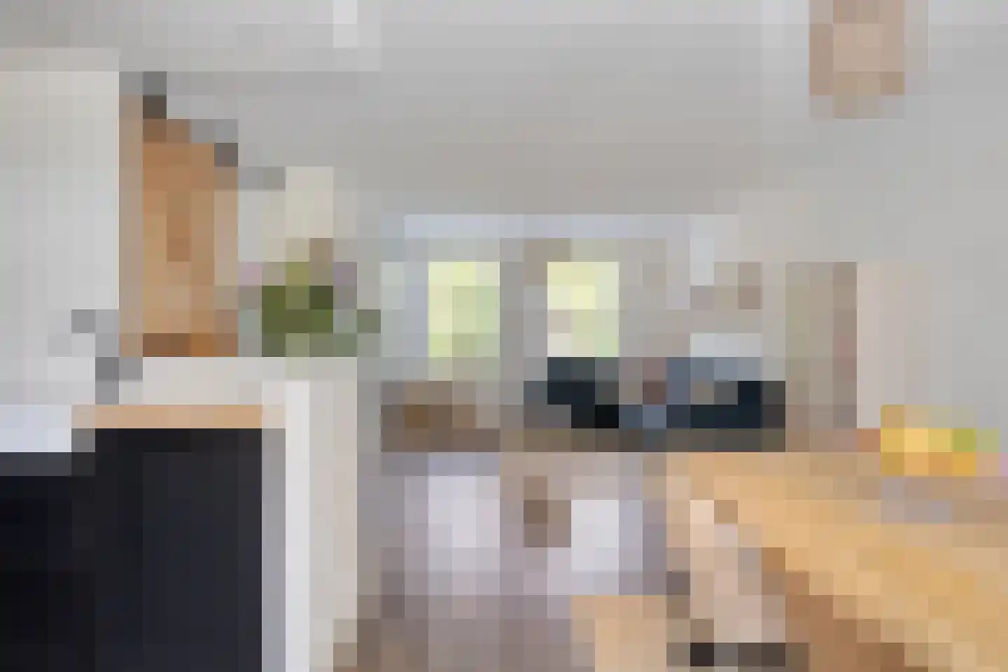 Meeuwenlaan 3 Nieuwerkerk thumbnail 25