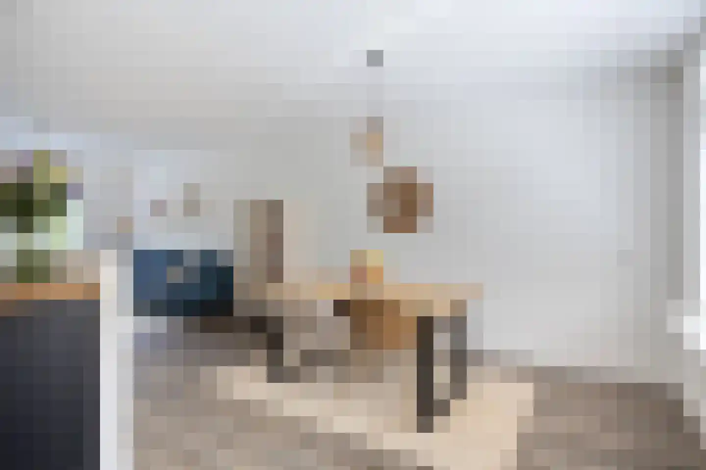 Meeuwenlaan 3 Nieuwerkerk thumbnail 26
