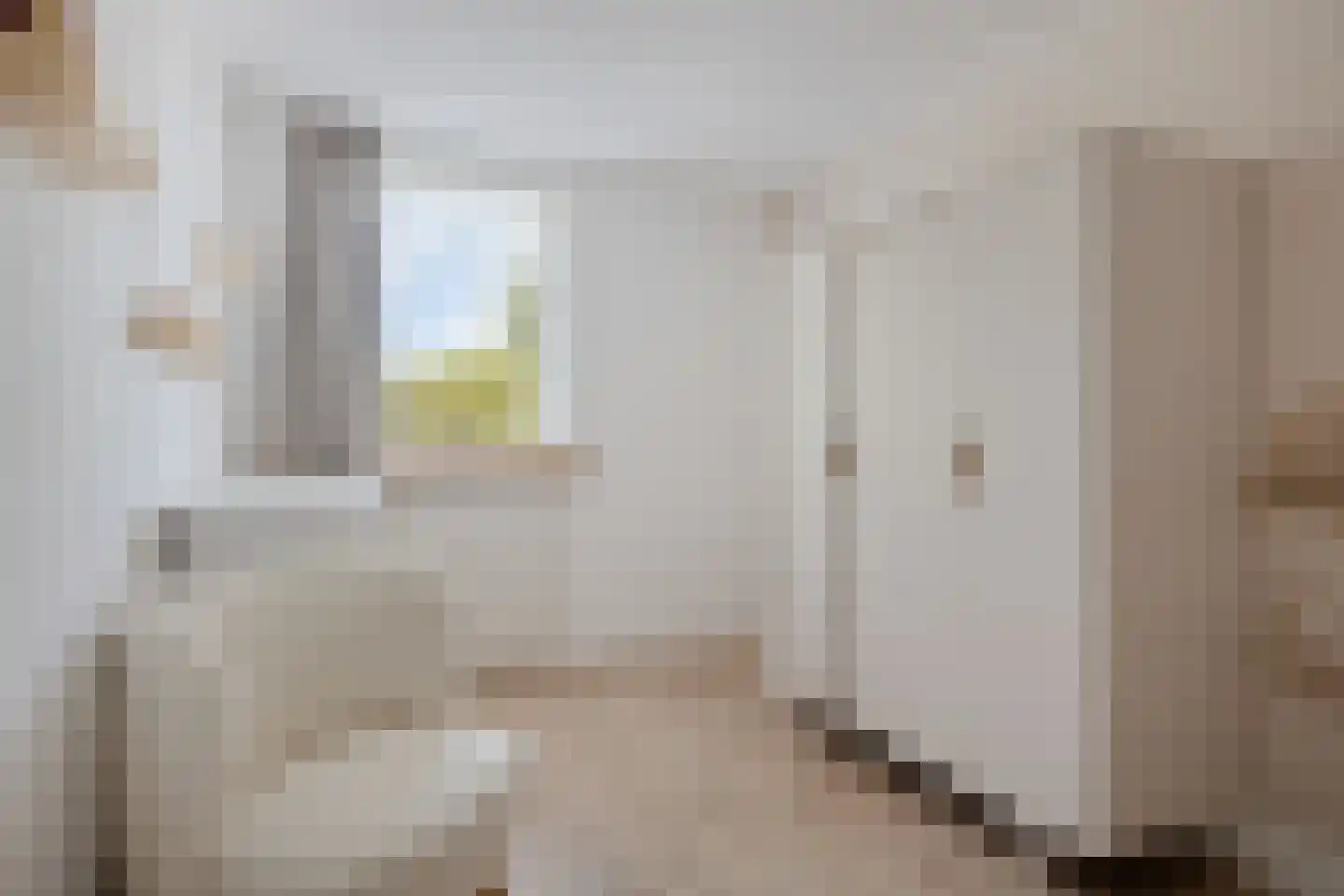 Meeuwenlaan 3 Nieuwerkerk thumbnail 27