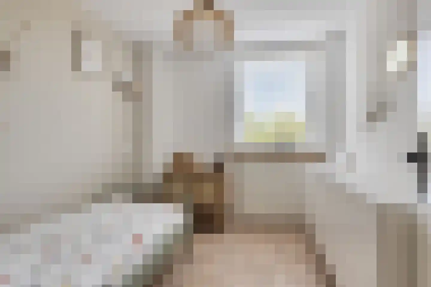 Meeuwenlaan 3 Nieuwerkerk thumbnail 29