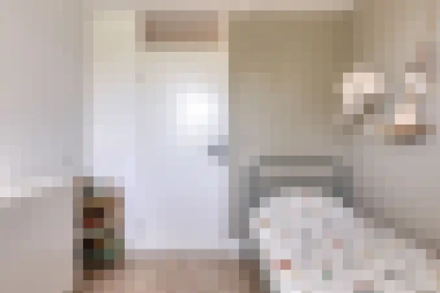 Meeuwenlaan 3 Nieuwerkerk thumbnail 30