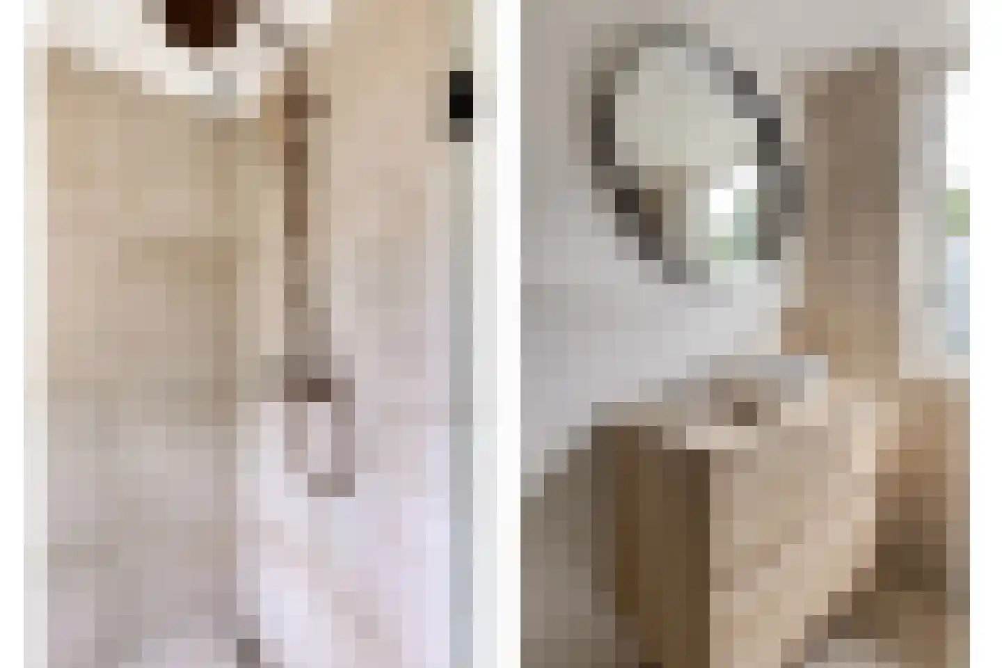 Meeuwenlaan 3 Nieuwerkerk thumbnail 35