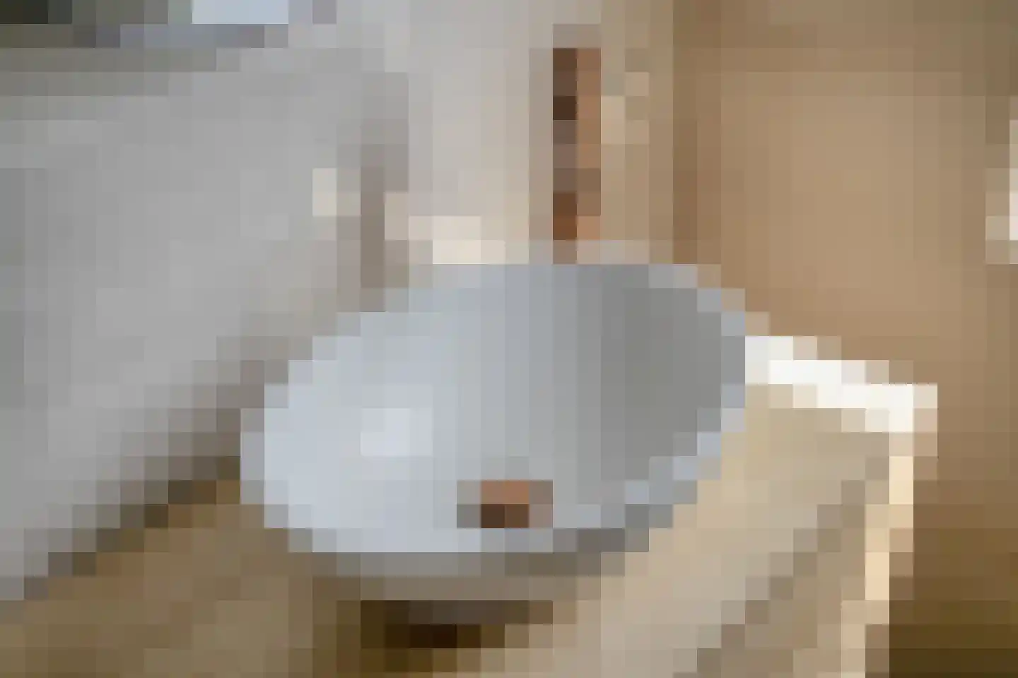 Meeuwenlaan 3 Nieuwerkerk thumbnail 36