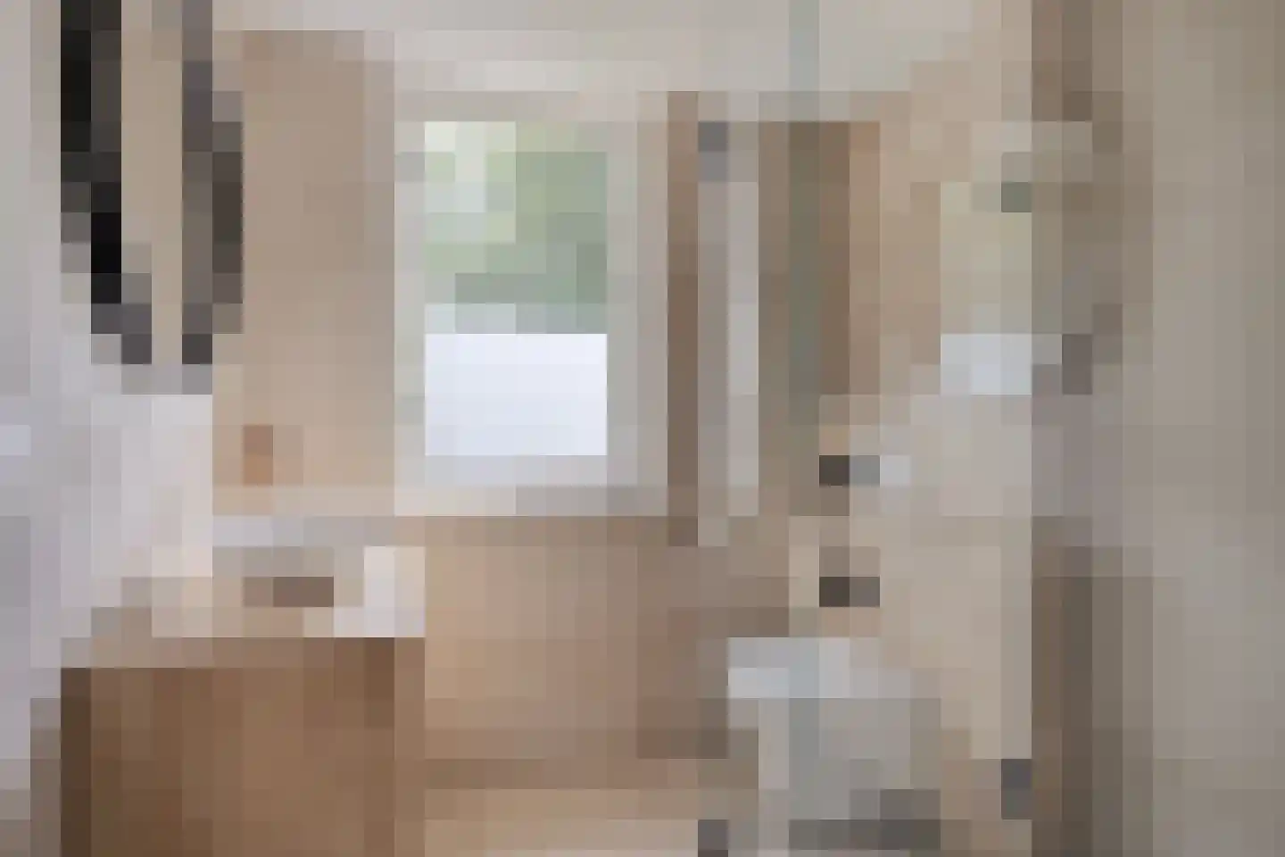 Meeuwenlaan 3 Nieuwerkerk thumbnail 4